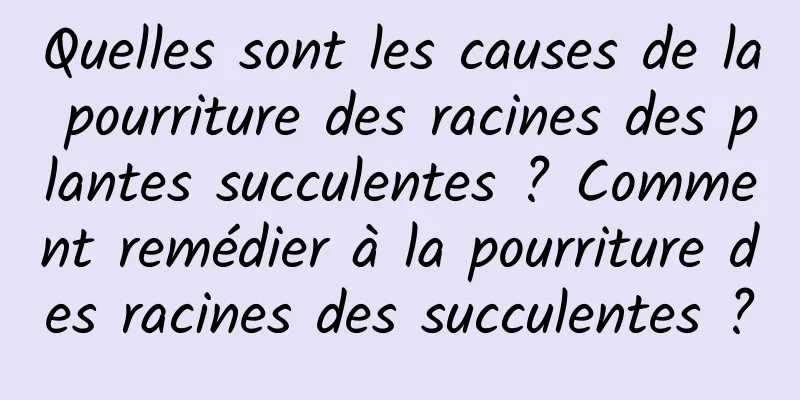 Quelles sont les causes de la pourriture des racines des plantes succulentes ? Comment remédier à la pourriture des racines des succulentes ?