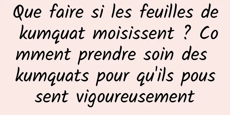 Que faire si les feuilles de kumquat moisissent ? Comment prendre soin des kumquats pour qu'ils poussent vigoureusement