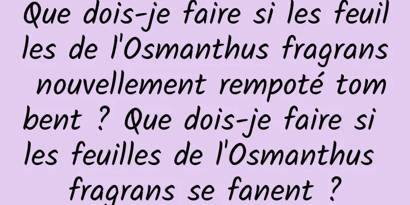 Que dois-je faire si les feuilles de l'Osmanthus fragrans nouvellement rempoté tombent ? Que dois-je faire si les feuilles de l'Osmanthus fragrans se fanent ?