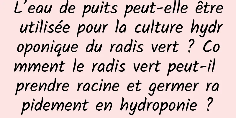 L’eau de puits peut-elle être utilisée pour la culture hydroponique du radis vert ? Comment le radis vert peut-il prendre racine et germer rapidement en hydroponie ?