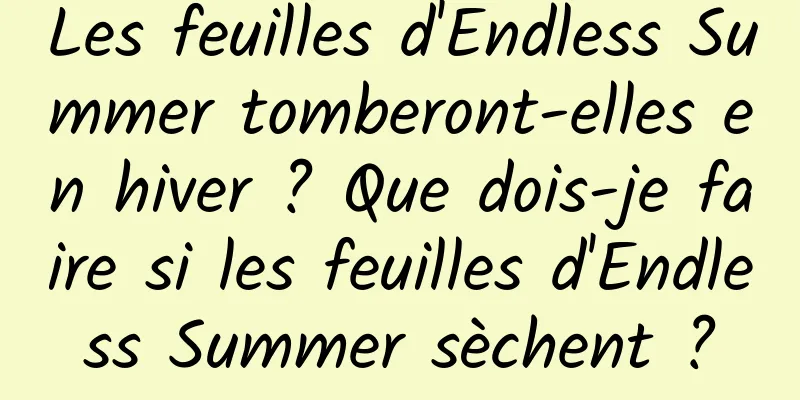 Les feuilles d'Endless Summer tomberont-elles en hiver ? Que dois-je faire si les feuilles d'Endless Summer sèchent ?