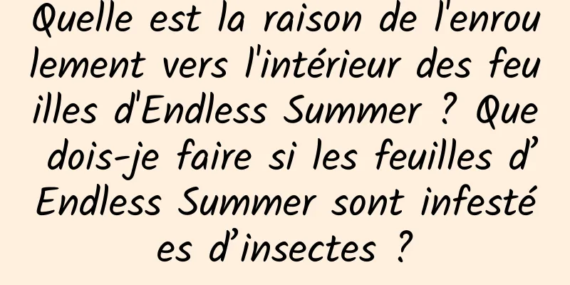 Quelle est la raison de l'enroulement vers l'intérieur des feuilles d'Endless Summer ? Que dois-je faire si les feuilles d’Endless Summer sont infestées d’insectes ?