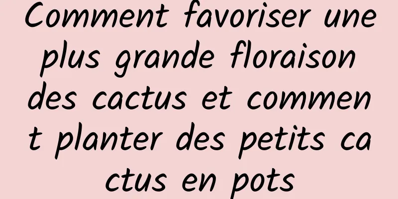 Comment favoriser une plus grande floraison des cactus et comment planter des petits cactus en pots