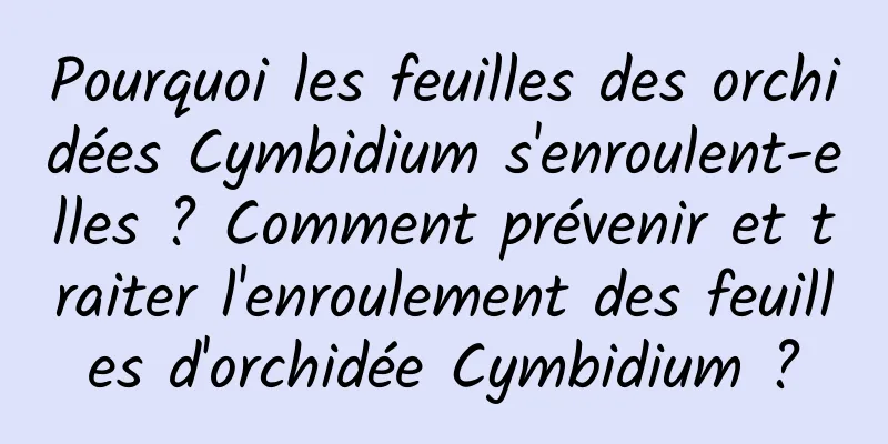 Pourquoi les feuilles des orchidées Cymbidium s'enroulent-elles ? Comment prévenir et traiter l'enroulement des feuilles d'orchidée Cymbidium ?