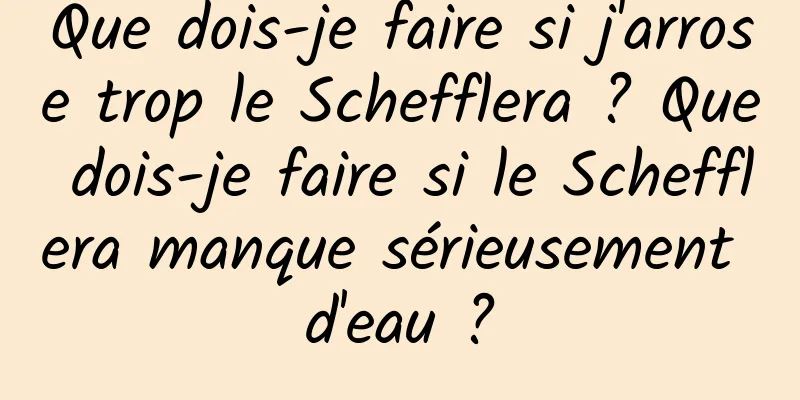 Que dois-je faire si j'arrose trop le Schefflera ? Que dois-je faire si le Schefflera manque sérieusement d'eau ?