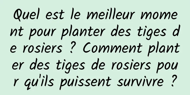 Quel est le meilleur moment pour planter des tiges de rosiers ? Comment planter des tiges de rosiers pour qu'ils puissent survivre ?