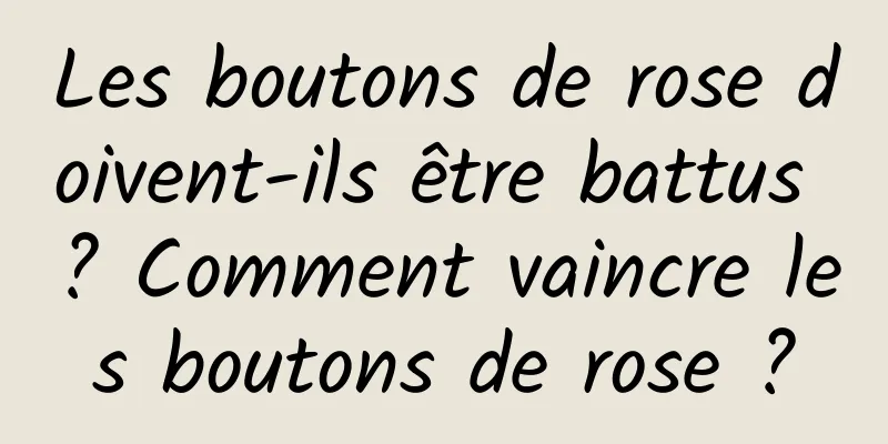 Les boutons de rose doivent-ils être battus ? Comment vaincre les boutons de rose ?
