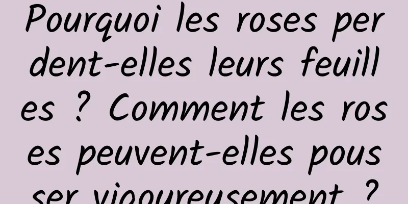Pourquoi les roses perdent-elles leurs feuilles ? Comment les roses peuvent-elles pousser vigoureusement ?
