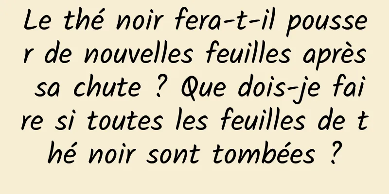 Le thé noir fera-t-il pousser de nouvelles feuilles après sa chute ? Que dois-je faire si toutes les feuilles de thé noir sont tombées ?