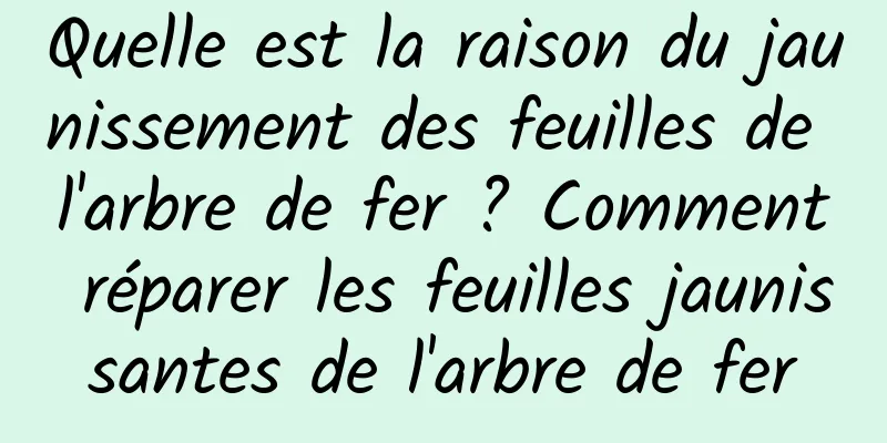 Quelle est la raison du jaunissement des feuilles de l'arbre de fer ? Comment réparer les feuilles jaunissantes de l'arbre de fer