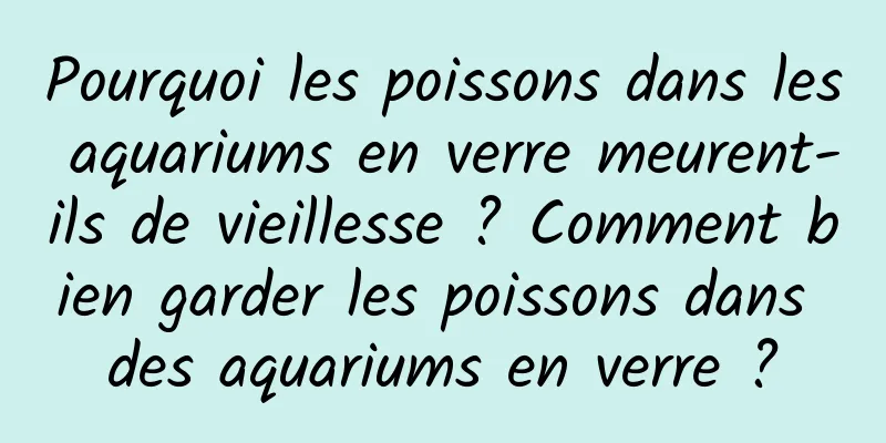 Pourquoi les poissons dans les aquariums en verre meurent-ils de vieillesse ? Comment bien garder les poissons dans des aquariums en verre ?