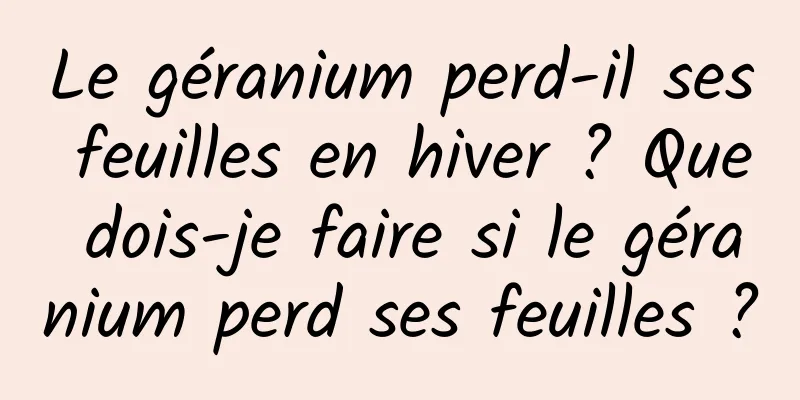 Le géranium perd-il ses feuilles en hiver ? Que dois-je faire si le géranium perd ses feuilles ?