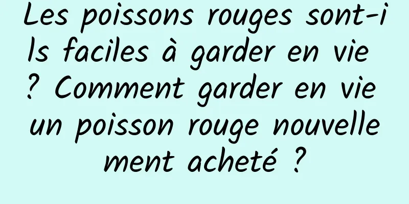 Les poissons rouges sont-ils faciles à garder en vie ? Comment garder en vie un poisson rouge nouvellement acheté ?