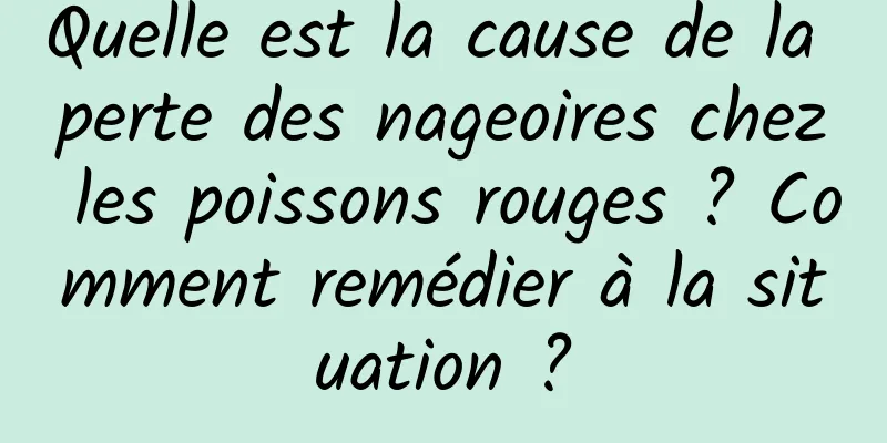 Quelle est la cause de la perte des nageoires chez les poissons rouges ? Comment remédier à la situation ?