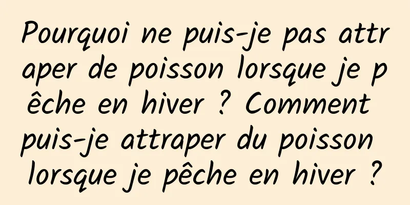 Pourquoi ne puis-je pas attraper de poisson lorsque je pêche en hiver ? Comment puis-je attraper du poisson lorsque je pêche en hiver ?