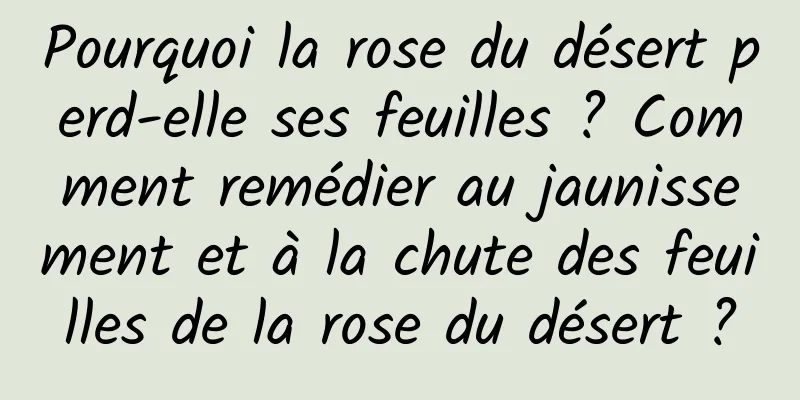 Pourquoi la rose du désert perd-elle ses feuilles ? Comment remédier au jaunissement et à la chute des feuilles de la rose du désert ?