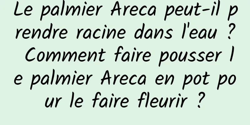 Le palmier Areca peut-il prendre racine dans l'eau ? Comment faire pousser le palmier Areca en pot pour le faire fleurir ?