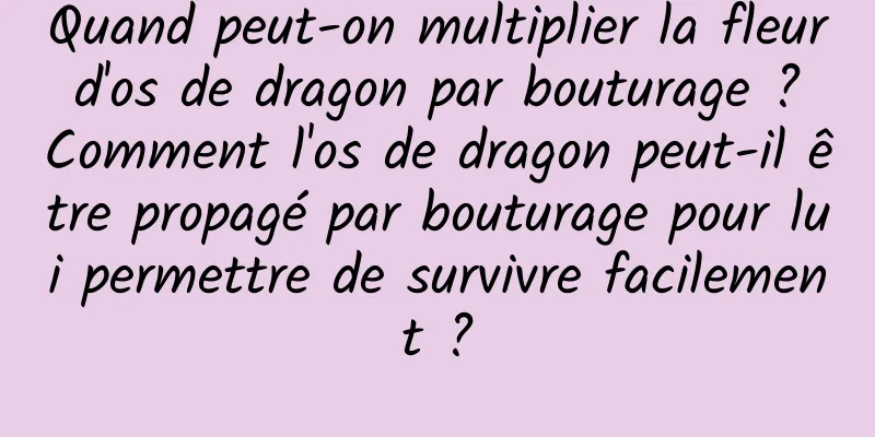 Quand peut-on multiplier la fleur d'os de dragon par bouturage ? Comment l'os de dragon peut-il être propagé par bouturage pour lui permettre de survivre facilement ?