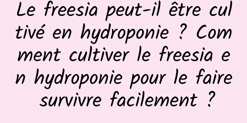 Le freesia peut-il être cultivé en hydroponie ? Comment cultiver le freesia en hydroponie pour le faire survivre facilement ?