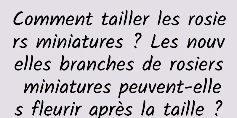 Comment tailler les rosiers miniatures ? Les nouvelles branches de rosiers miniatures peuvent-elles fleurir après la taille ?