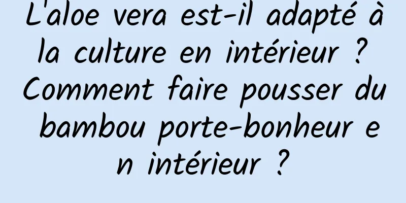 L'aloe vera est-il adapté à la culture en intérieur ? Comment faire pousser du bambou porte-bonheur en intérieur ?