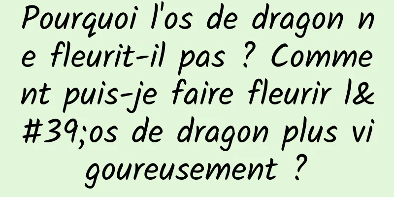Pourquoi l'os de dragon ne fleurit-il pas ? Comment puis-je faire fleurir l'os de dragon plus vigoureusement ?