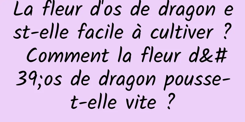 La fleur d'os de dragon est-elle facile à cultiver ? Comment la fleur d'os de dragon pousse-t-elle vite ?