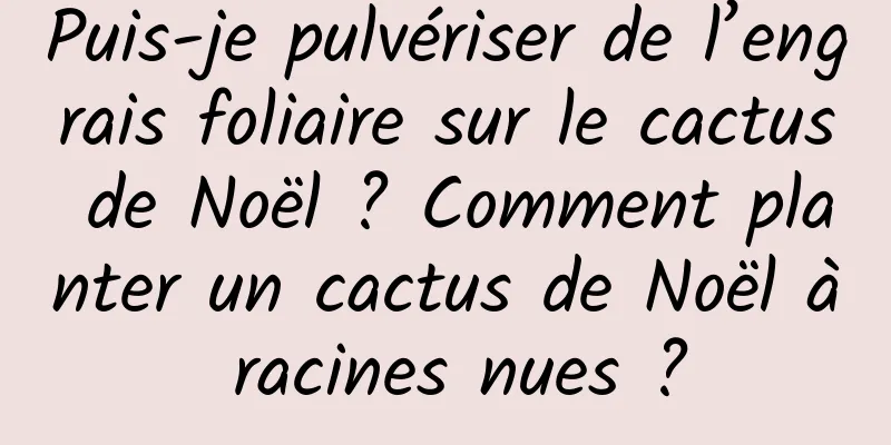 Puis-je pulvériser de l’engrais foliaire sur le cactus de Noël ? Comment planter un cactus de Noël à racines nues ?