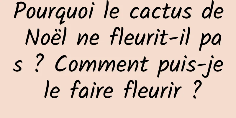 Pourquoi le cactus de Noël ne fleurit-il pas ? Comment puis-je le faire fleurir ?