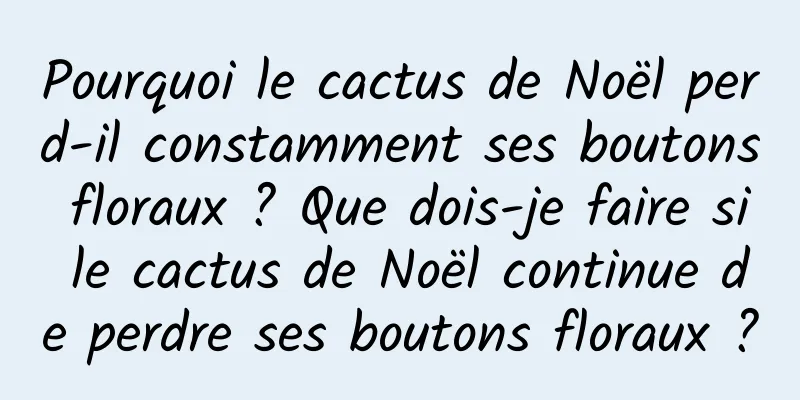 Pourquoi le cactus de Noël perd-il constamment ses boutons floraux ? Que dois-je faire si le cactus de Noël continue de perdre ses boutons floraux ?