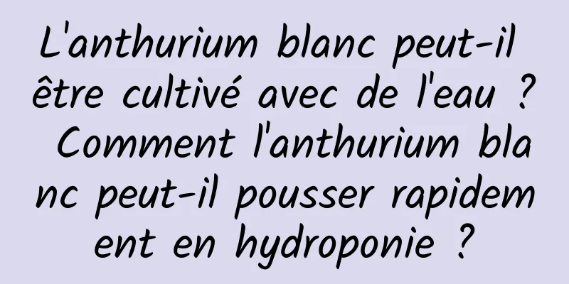 L'anthurium blanc peut-il être cultivé avec de l'eau ? Comment l'anthurium blanc peut-il pousser rapidement en hydroponie ?