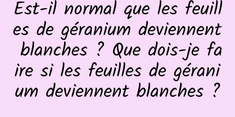 Est-il normal que les feuilles de géranium deviennent blanches ? Que dois-je faire si les feuilles de géranium deviennent blanches ?