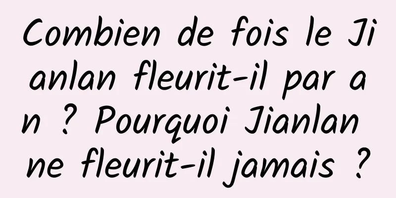 Combien de fois le Jianlan fleurit-il par an ? Pourquoi Jianlan ne fleurit-il jamais ?