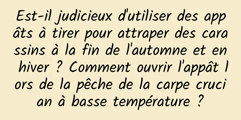 Est-il judicieux d'utiliser des appâts à tirer pour attraper des carassins à la fin de l'automne et en hiver ? Comment ouvrir l'appât lors de la pêche de la carpe crucian à basse température ?