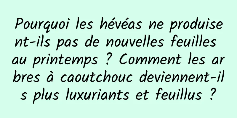 Pourquoi les hévéas ne produisent-ils pas de nouvelles feuilles au printemps ? Comment les arbres à caoutchouc deviennent-ils plus luxuriants et feuillus ?