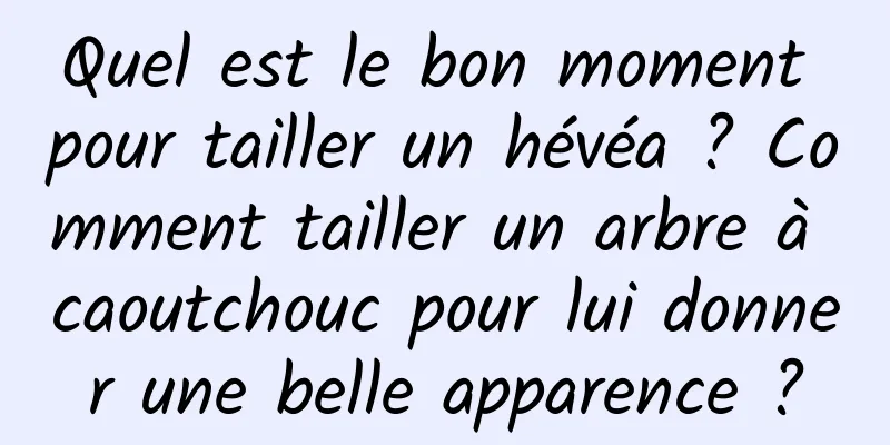 Quel est le bon moment pour tailler un hévéa ? Comment tailler un arbre à caoutchouc pour lui donner une belle apparence ?