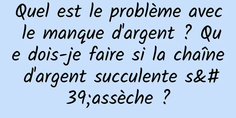 Quel est le problème avec le manque d'argent ? Que dois-je faire si la chaîne d'argent succulente s'assèche ?