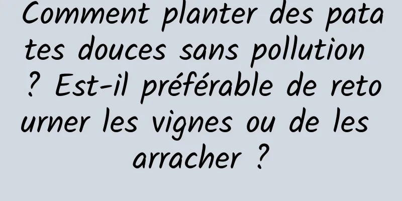 Comment planter des patates douces sans pollution ? Est-il préférable de retourner les vignes ou de les arracher ?