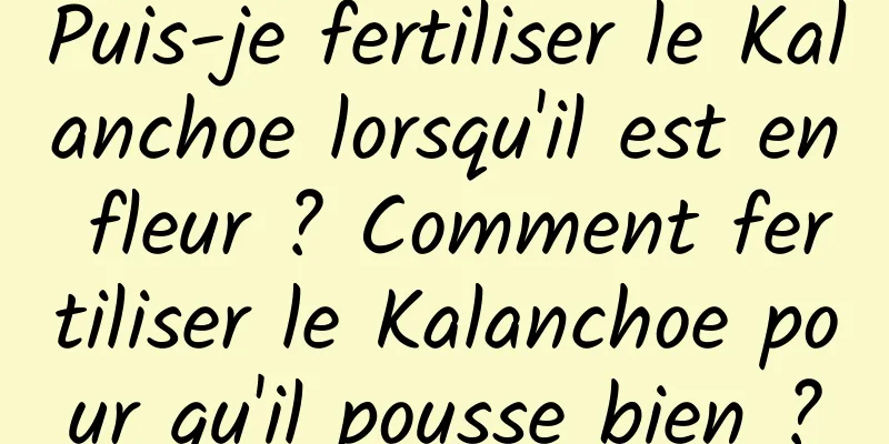Puis-je fertiliser le Kalanchoe lorsqu'il est en fleur ? Comment fertiliser le Kalanchoe pour qu'il pousse bien ?