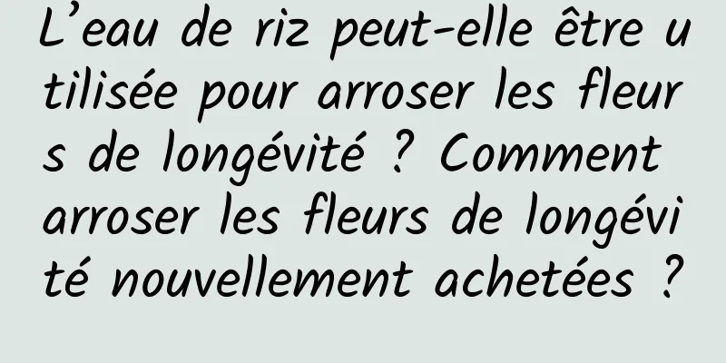 L’eau de riz peut-elle être utilisée pour arroser les fleurs de longévité ? Comment arroser les fleurs de longévité nouvellement achetées ?