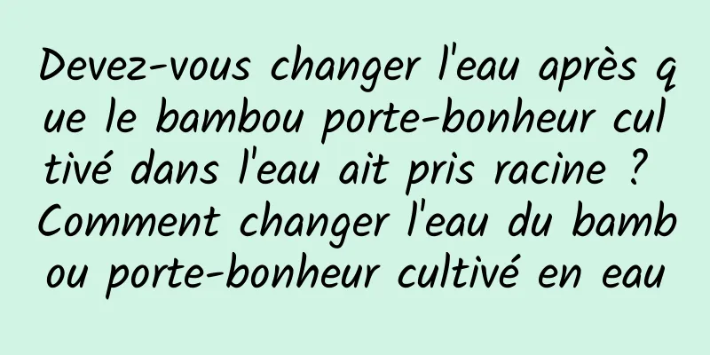 Devez-vous changer l'eau après que le bambou porte-bonheur cultivé dans l'eau ait pris racine ? Comment changer l'eau du bambou porte-bonheur cultivé en eau