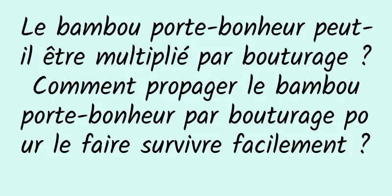 Le bambou porte-bonheur peut-il être multiplié par bouturage ? Comment propager le bambou porte-bonheur par bouturage pour le faire survivre facilement ?