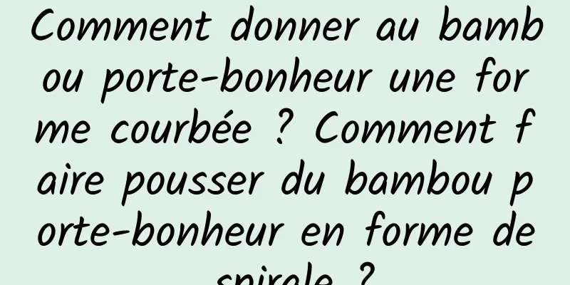 Comment donner au bambou porte-bonheur une forme courbée ? Comment faire pousser du bambou porte-bonheur en forme de spirale ?