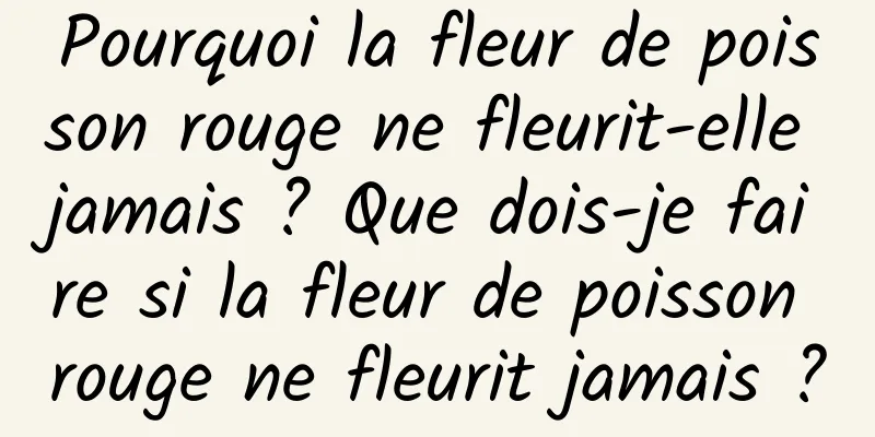 Pourquoi la fleur de poisson rouge ne fleurit-elle jamais ? Que dois-je faire si la fleur de poisson rouge ne fleurit jamais ?