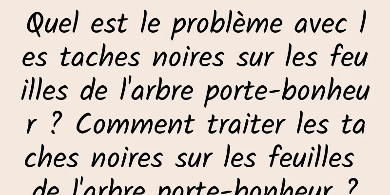 Quel est le problème avec les taches noires sur les feuilles de l'arbre porte-bonheur ? Comment traiter les taches noires sur les feuilles de l'arbre porte-bonheur ?