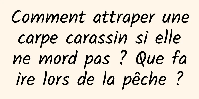 Comment attraper une carpe carassin si elle ne mord pas ? Que faire lors de la pêche ?
