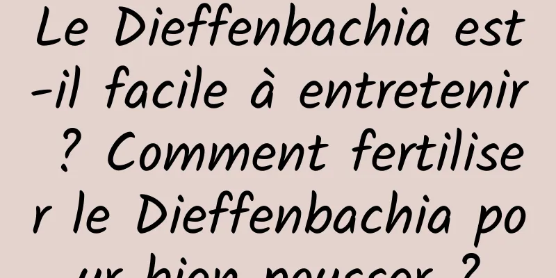 Le Dieffenbachia est-il facile à entretenir ? Comment fertiliser le Dieffenbachia pour bien pousser ?