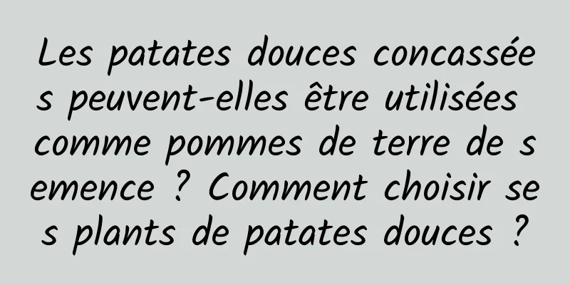 Les patates douces concassées peuvent-elles être utilisées comme pommes de terre de semence ? Comment choisir ses plants de patates douces ?