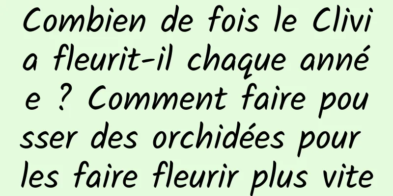 Combien de fois le Clivia fleurit-il chaque année ? Comment faire pousser des orchidées pour les faire fleurir plus vite