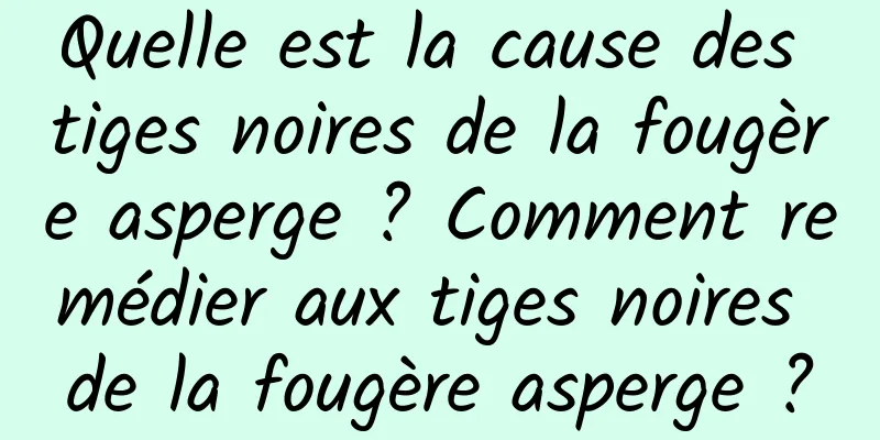Quelle est la cause des tiges noires de la fougère asperge ? Comment remédier aux tiges noires de la fougère asperge ?
